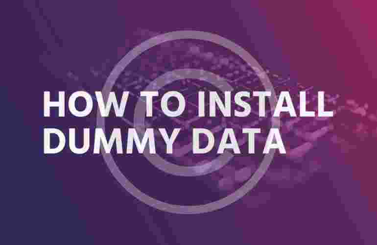 How to install dummy data